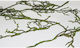 Faitakis Pack Craft Item in Green Color