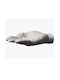Areaware Wall Hanger Made of Polyresin White 10.2x17.8x6.4cm