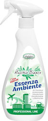 Ready Spray 750ml