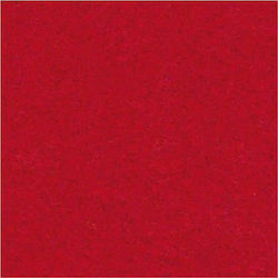 Colorfix Τσόχα 10 Φύλλων 190F2030007 30x20εκ.