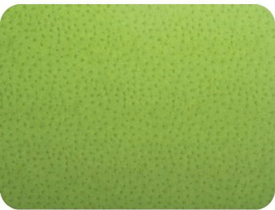 Caspari Plastic Placemat Green 40x30cm