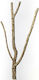Decorative Cork Tronchos 60-80cm Accesorii pentru terariu de reptile