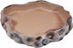 Happet Feeder/Waterer for Reptiles Terrarium