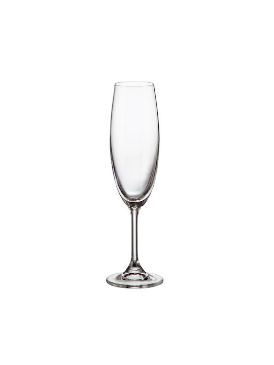 Novaker Klara Champagne Glasses for Wedding made of Crystal 1pcs