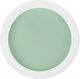Trendy Color Cosmetics Σκόνη Ακρυλικού 5gr 3098