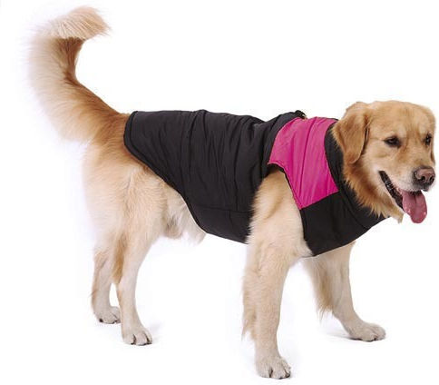 Value Imports Snow 45cm 3xl Haine pentru câini Black cu Lungimea Spateului 45 cm