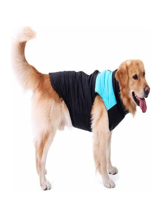 Value Imports Imports Dog Coat with 40cm Back Length