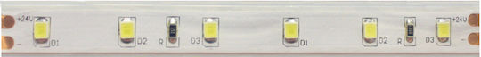 Aca Αδιάβροχη Ταινία LED 24V Ψυχρό Λευκό Φως 1m Τύπου SMD2835