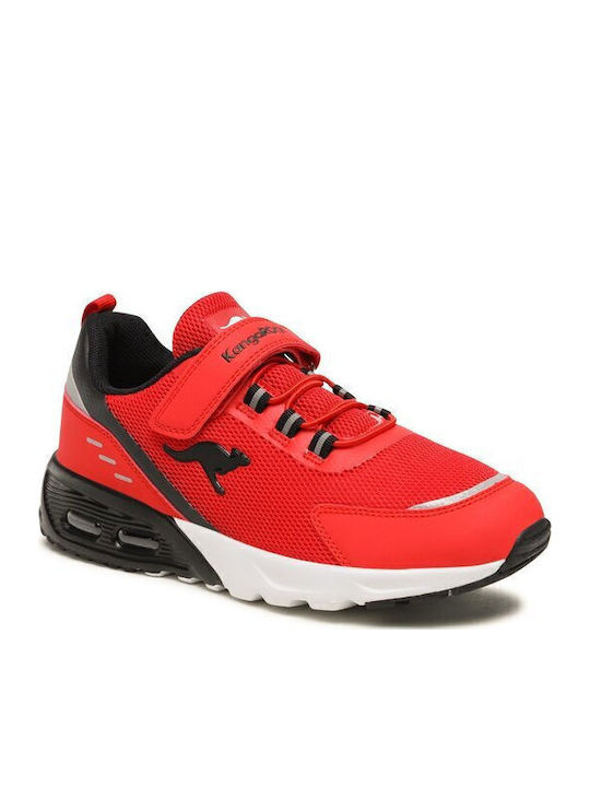 Kangaroos