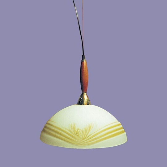 Pendant Light Purple