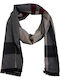Legend Men's Cashmere Scarf Gray