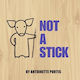 Not A Stick