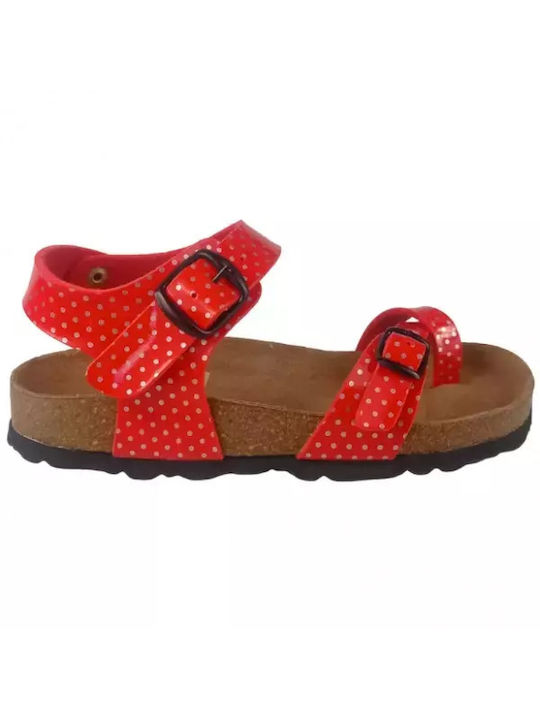 IQ Shoes