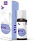 Essential Oil Pine 10ml