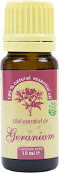 PNI Ulei Esențial Geranium 10ml PNI Ulei Esențial Geranium 10ml