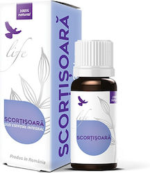 Dvr Pharm Биологично Етерично масло Cinnamon 10мл