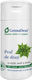 Vivanatura Οδοντόκρεμα 75gr