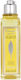 L'Occitane Citrus Verbena Bubble Bath Gel With Glycerin & Citrus Scent 250ml