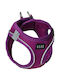 Glee Dog Harness Purple Medium 89351