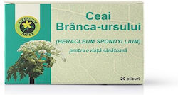 Hypericum impex Σπαθόχορτο 20 Φακελάκια 600gr DCTF49MBM Hypericum impex Σπαθόχορτο 20 Φακελάκια 600gr DCTF49MBM