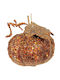 Hanging Ball Ornament Ornament Plastic Copper