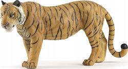 Jad Flamande Tiger for 3+ Years Jad Flamande Tiger for 3+ Years
