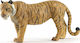 Jad Flamande Tiger for 3+ Years