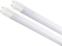 SPL Becuri LED De tip fluorescent pentru Soclu T8 și Formă T8 Cool White 1050lm 10buc