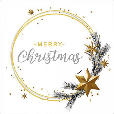 Gialpis Christmas Napkins White L33xW33cm.