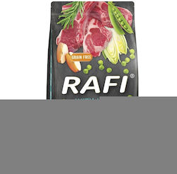 Dolina Noteci Rafi Junior Dolina Noteci Rafi Junior