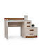 Kids Desk made of Melamine Beige 120x60x78cm E-F 038