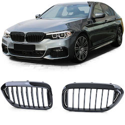 Look Car Decorative Mask BMW Series 5 (G30)