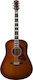 Godin Ακουστική Κιθάρα Metropolis Burst