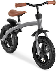 Hauck E Z Rider 