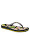 Ipanema Women's Flip Flops Black 83325-AI819