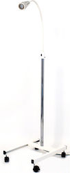 Gima Medical Lamp 239866