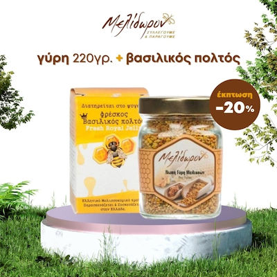 Μελίδωρον Honey 220gr