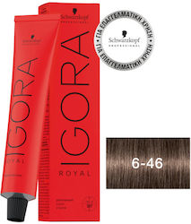 Schwarzkopf Igora Royal Βαφή Μαλλιών 6-46 60ml