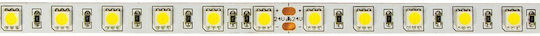 VK Lighting Ταινία LED 24V Θερμό Λευκό Φως Τύπου SMD5050