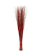 Lianos Weihnachtsdekoration Länge 135cm.