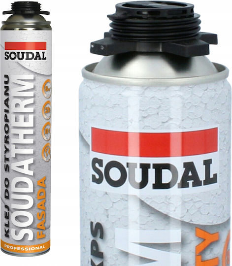 Soudal Professional Special Cleaner Suitable for Concrete 750ml