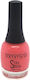 TommyG Stay Shine Glossy Nail Polish Long Lasti...