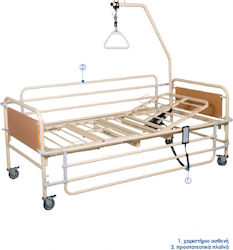 Vita Orthopaedics Electric Poliedru
