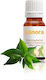 Panora Αιθέριο Έλαιο Tea Tree 10ml