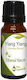 Nature & Body Αιθέριο Έλαιο Ylang-ylang 10ml