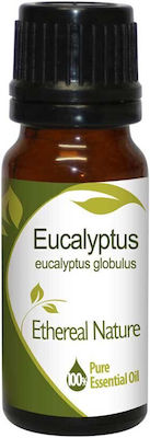 Nature & Body Essential Oil Eucalyptus 10ml