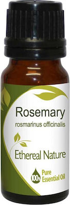 Nature & Body Ätherisches Öl Rosemary 10ml