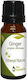 Nature & Body Ulei Esențial Ginger 10ml