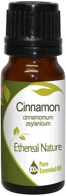 Nature & Body Essential Oil Cinnamon 10ml