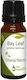 Nature & Body Δάφνη Bay Leaf Αιθέριο Έλαιο Δάφνη 10ml